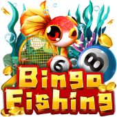 Câu Cá Bingo tại Nohu Nohu